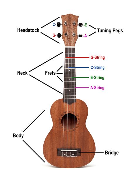 Pluck the C string on the ukulele and then press the third string down at the fourth fret. This should produce the note E. If it doesn’t, adjust the tuning peg until it does. Finally, it’s time to tune the E string. Pluck the E string on the ukulele and then press the second string down at the fourth fret.